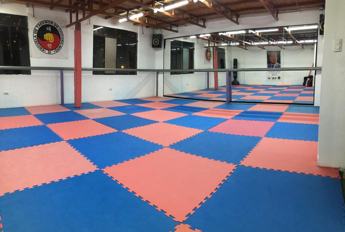 Choong-Moo - SJL hero