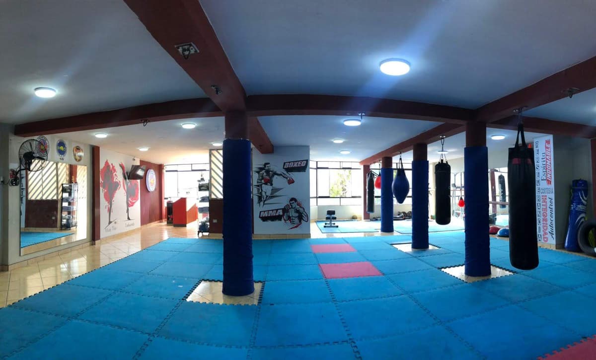 Fertex Central - SJL hero