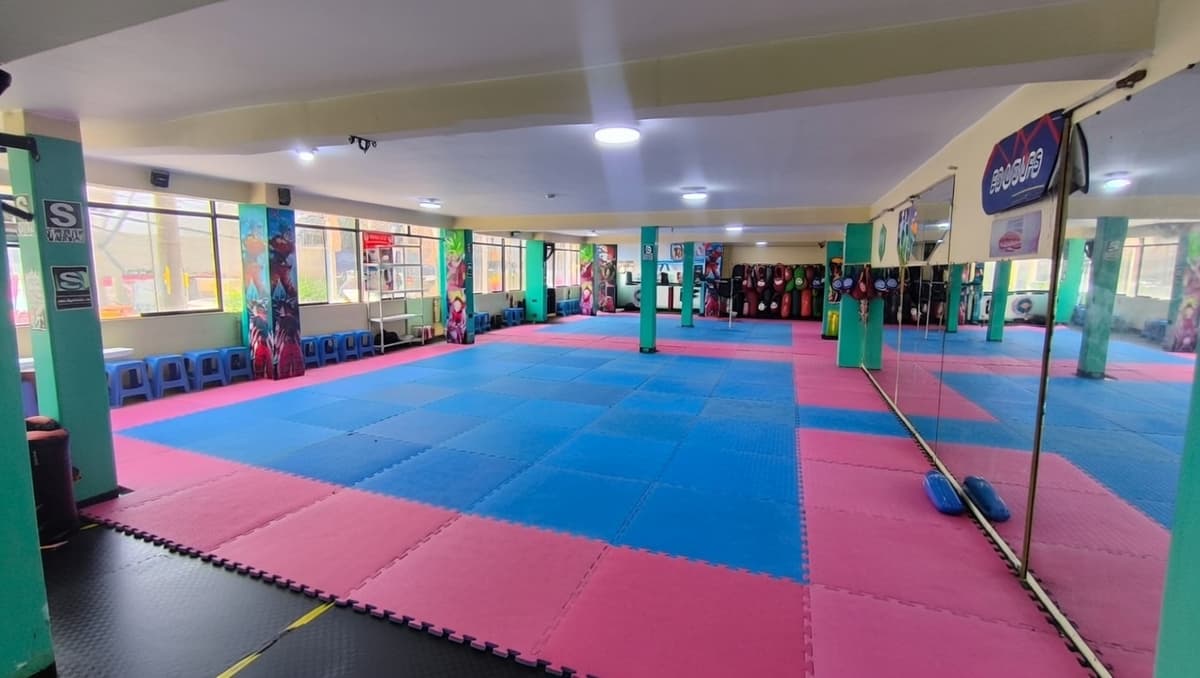 Fertex Mariscal - SJL hero